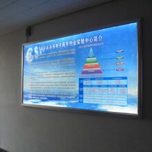 廈門喵君文化傳媒 引領新時代廣告?zhèn)髅降膭?chuàng)新力量